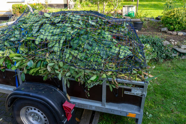 Best Same-Day Junk Removal Services  in Imperial, NE